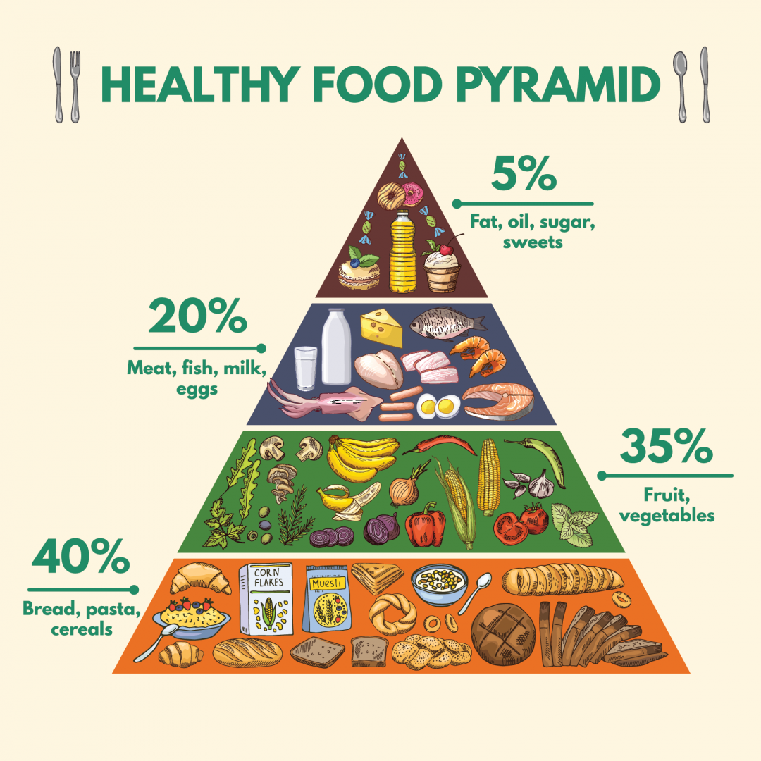healthy food pyramid essay