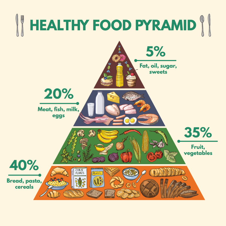 Is the Food Pyramid Still Relevant? Next Level Urgent Care