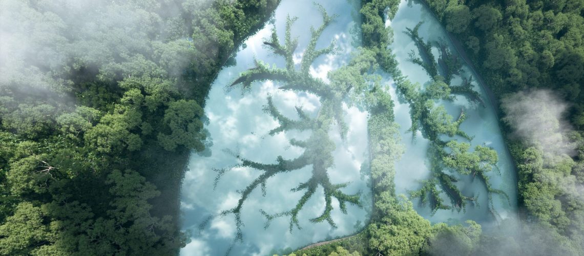 Green lungs of planet Earth. 3d rendering of a clean lake in a shape of lungs in the middle of  virgin forest. Concept of nature and rainforest protection, nature breathing and natural co2 reduction.