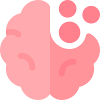brain